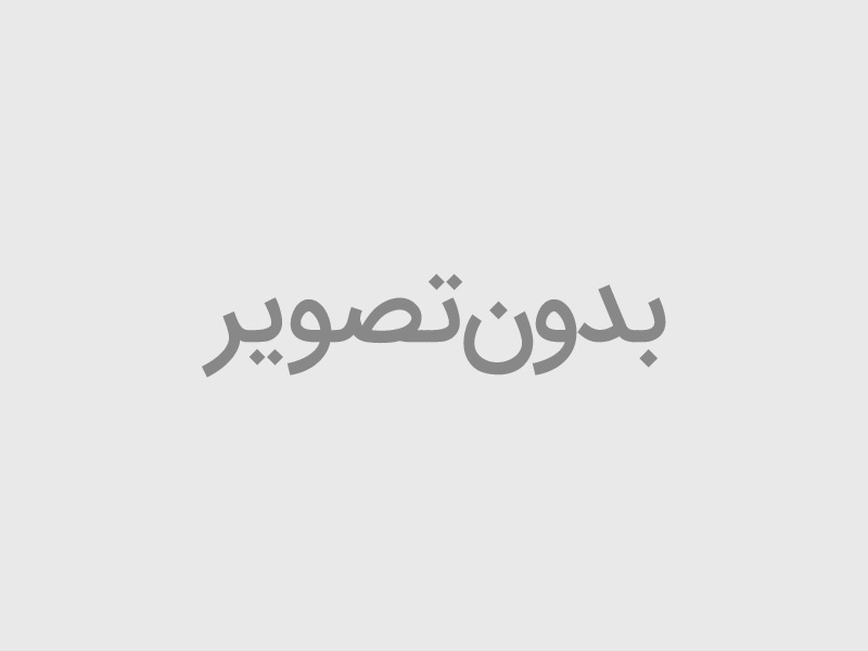 The "Project management service for small - sized architecture, construction & civil project (VIP plan)" has been presented.