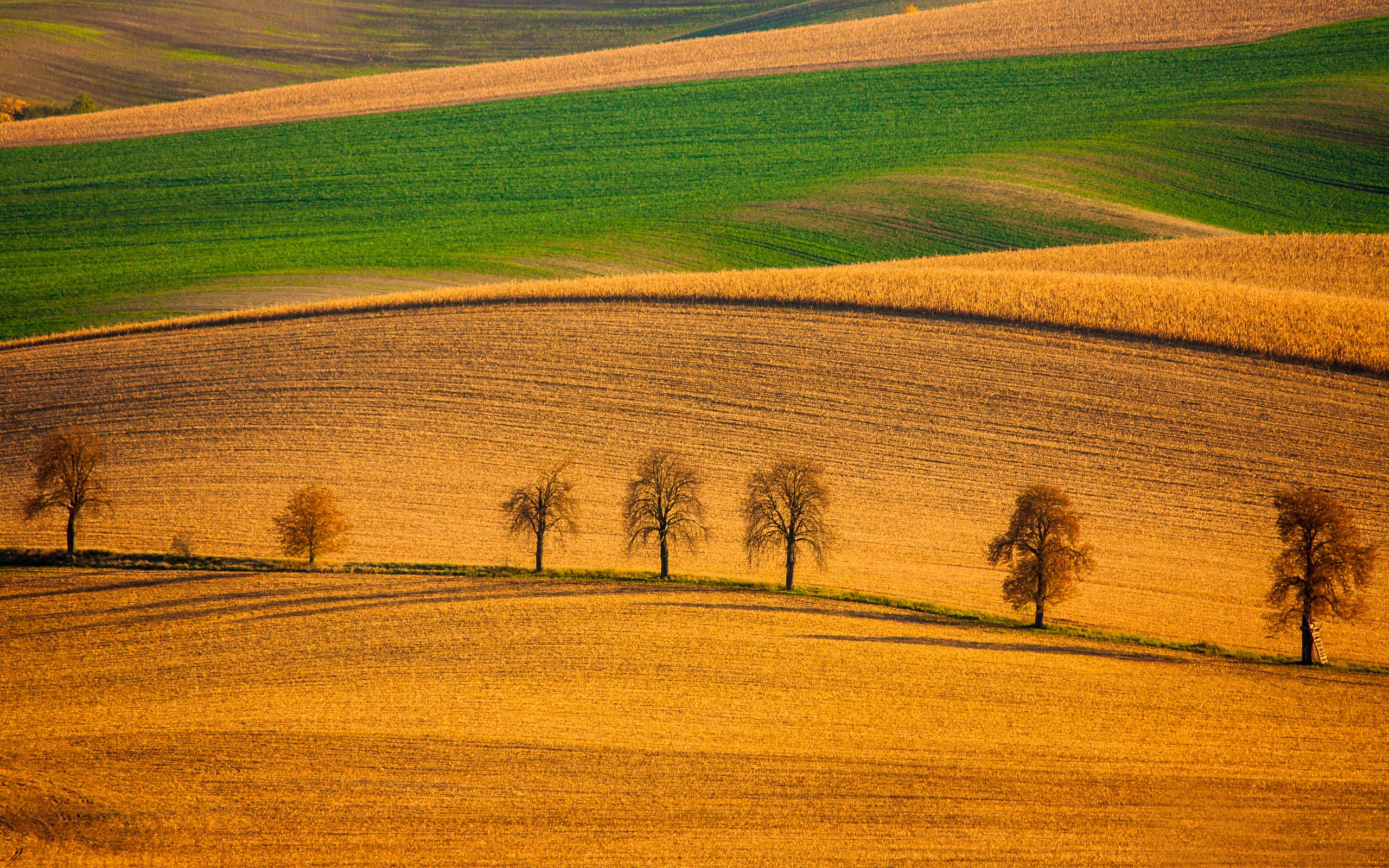 autumn hues offers a dose of natural calm—inviting a sense of balance