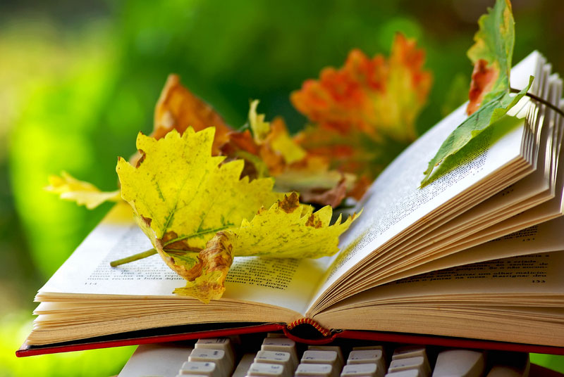 uniques, old & collections