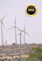 large - sized clean energy & sustainable development project (gold plan)