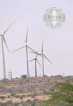 large - sized clean energy & sustainable development project (silver plan)